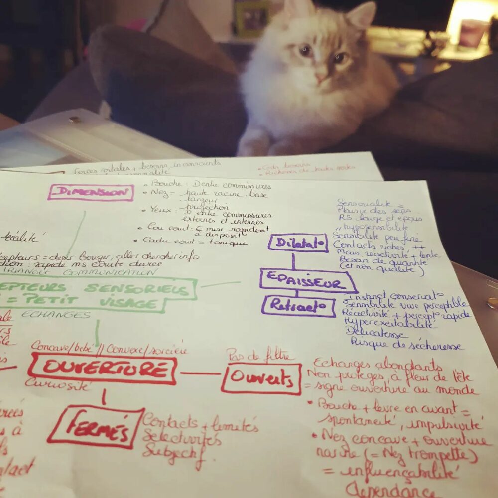 La morphopsychologie