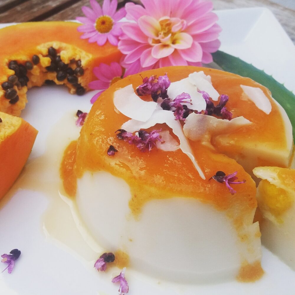 Panacottas au thé vert et aux baies