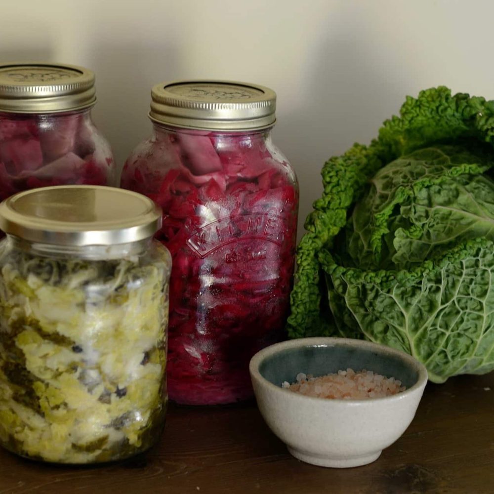 La lactofermentation