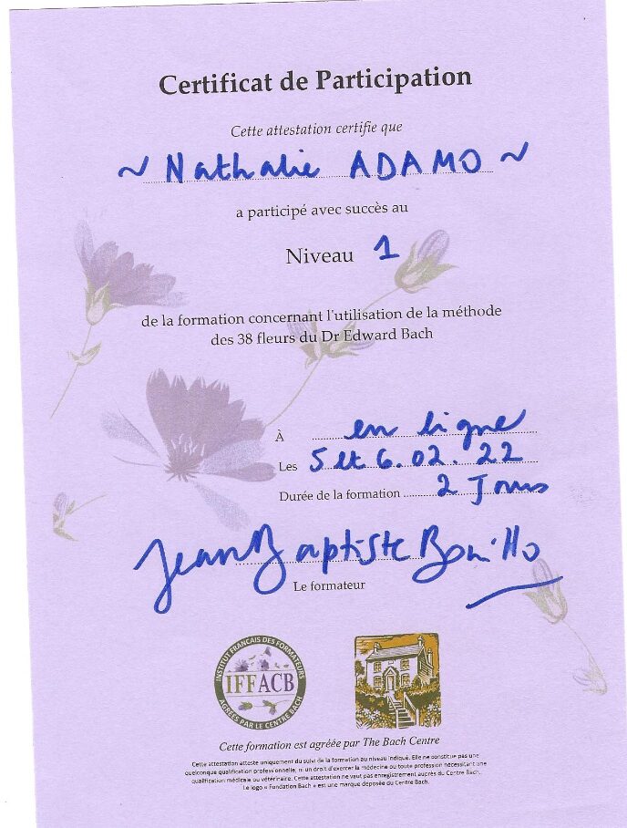 Capture d’écran 2025-12-02 à 14.55.34